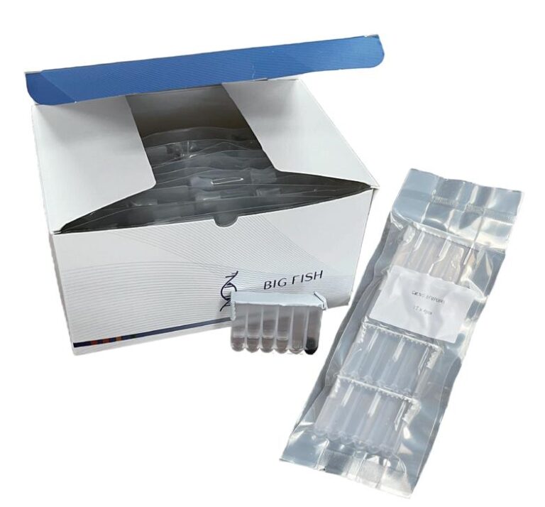 Nucleic Card Storage Rack Single Test Kit Holder For Nucleic Acid Extraction - Labtrade do Brasil